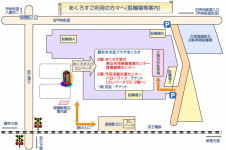 �x���[�_���X�����@Keiko�@�x���[�_���X�����@���z�s�@�ʐ^